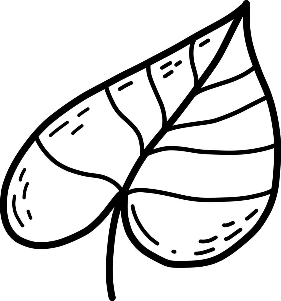 Plant. Tree leaf. Vector illustration. Linear hand drawing doodle