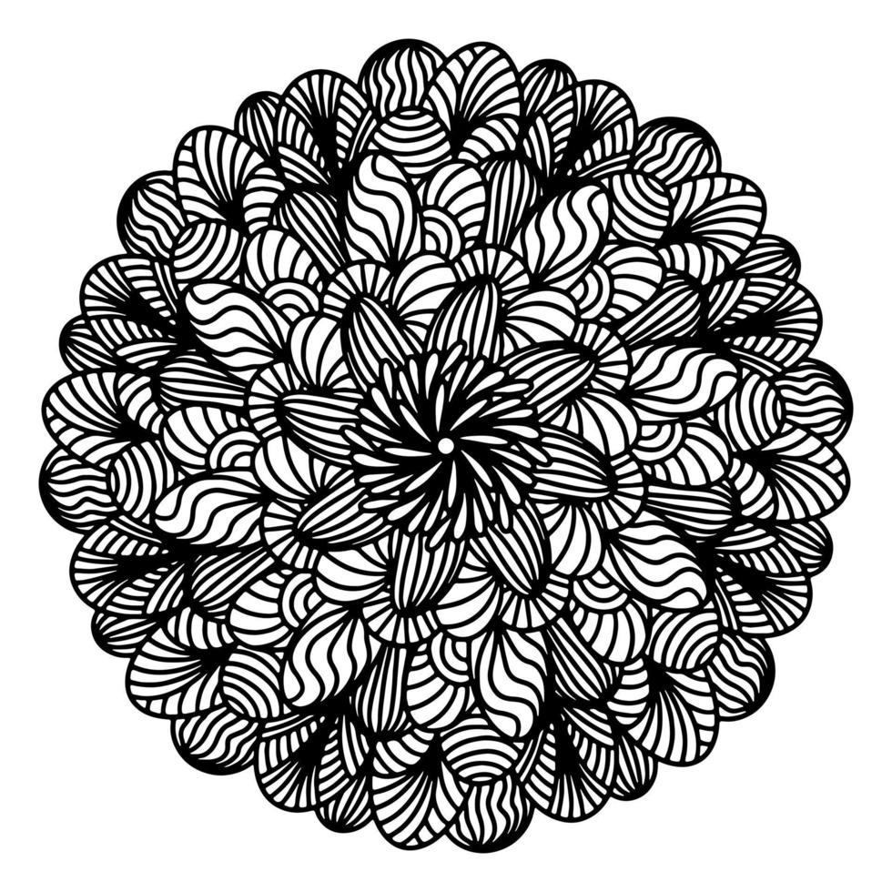 Floral, hand drawn aster mandala flowers in doodle style isolated on white background. Funny and cute coloring for seasonal design, textile, decoration kids playroom or greeting card. Chrysanthemum. vector