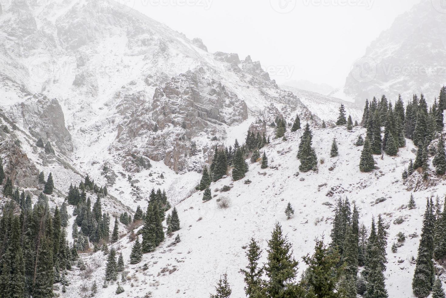 landscape of winter rocky mountains with fog photo