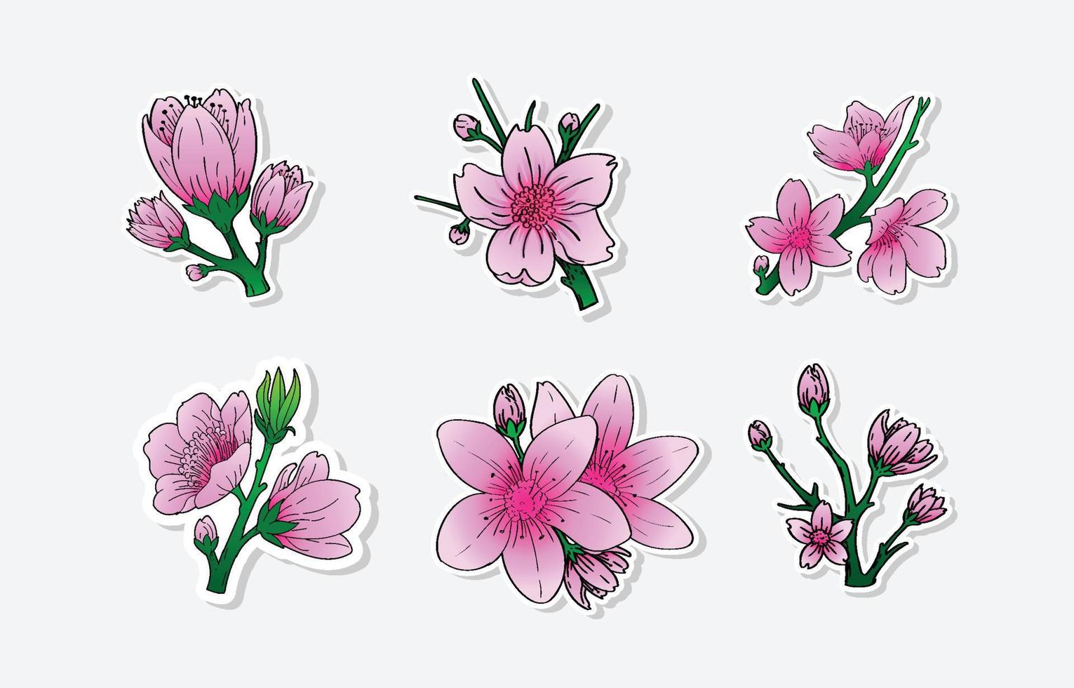 Hand Drawn Spring Flower Cherry Blossom vector