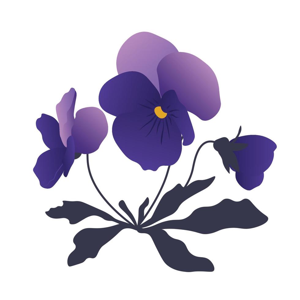 Modern Illustration of Purple Pansy Flower vector