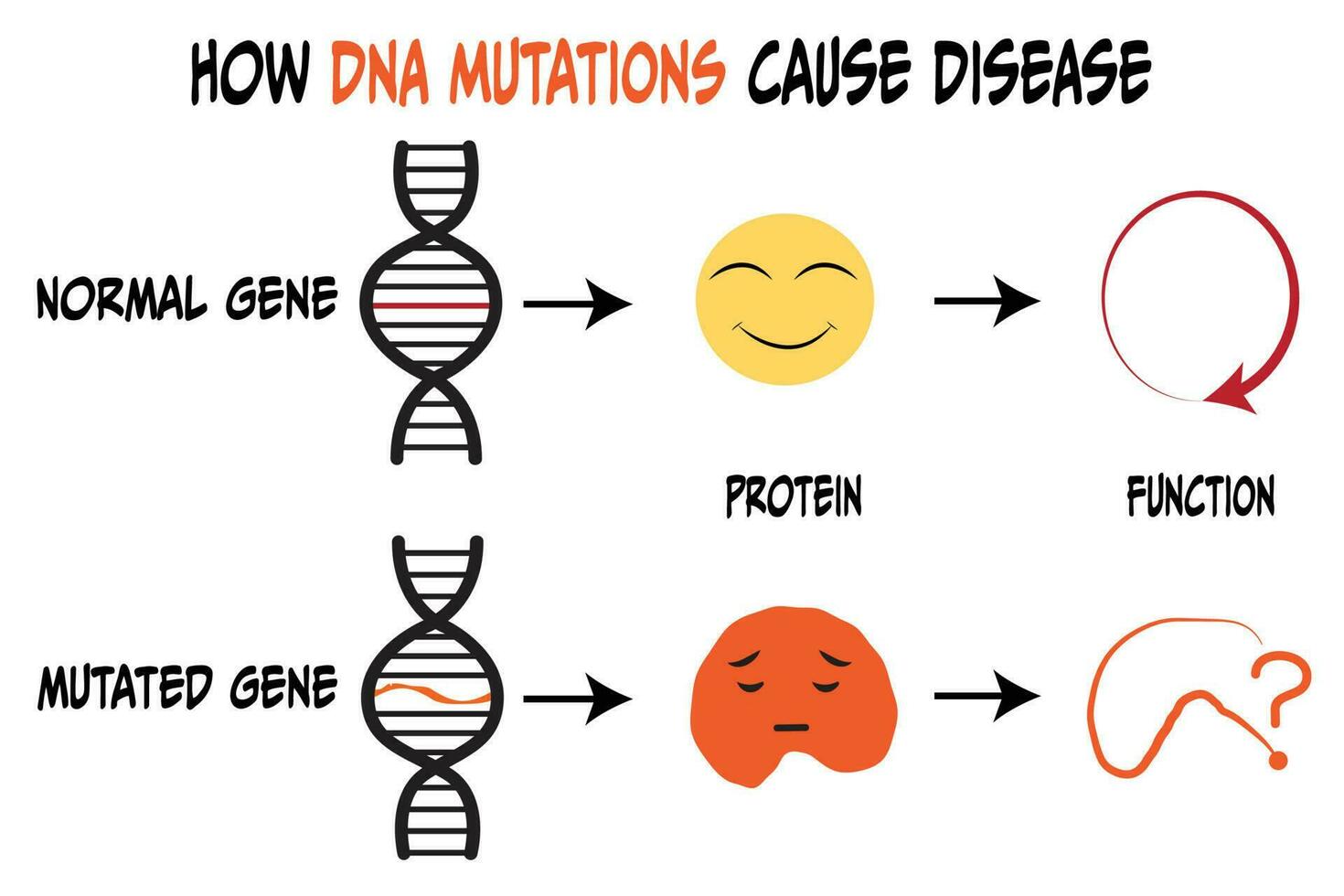 DNA mutations protein affect vector