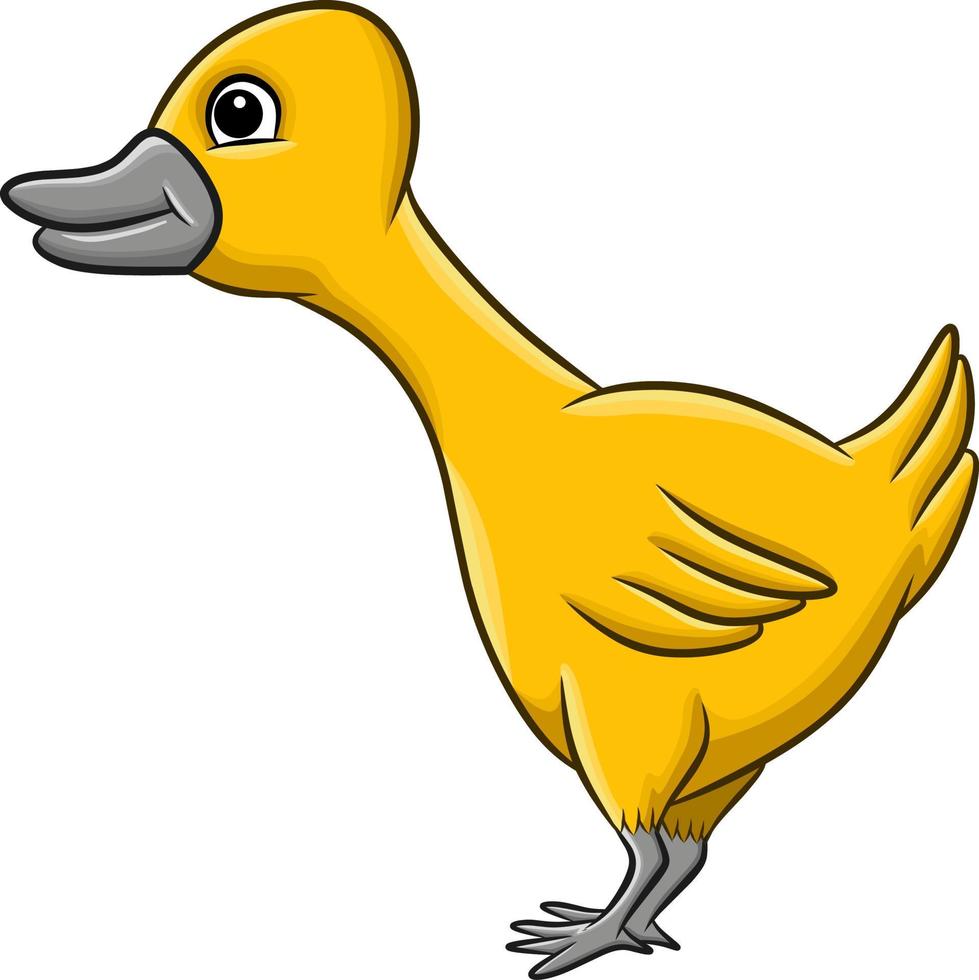 Illustration of funny duck cartoon isolated vector