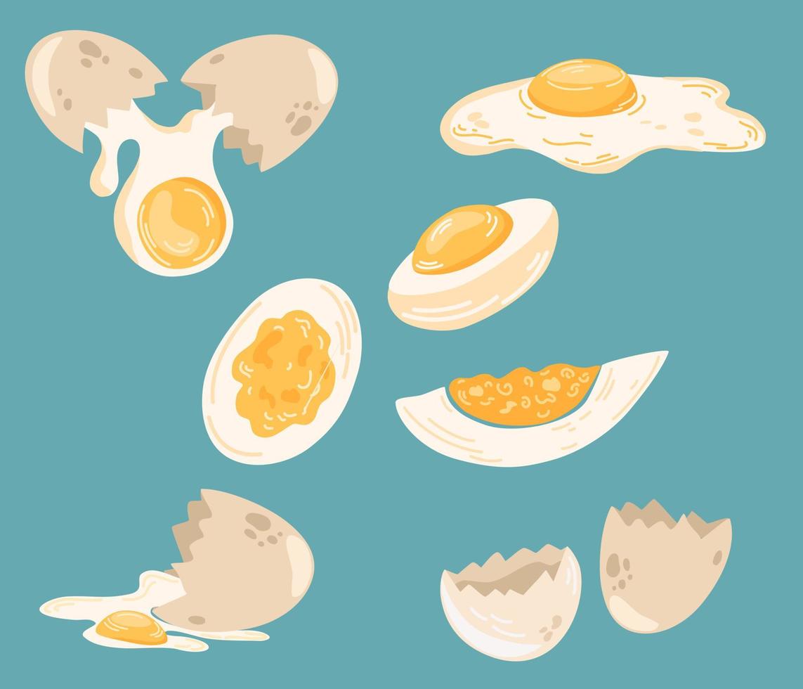 huevos en varias formas. conjunto de huevos de gallina, crudos, hervidos y fritos. alimentos proteicos saludables. avicultura. para impresión, folletos, tiendas, restaurantes y agricultura. ilustración de dibujos animados vectoriales. vector