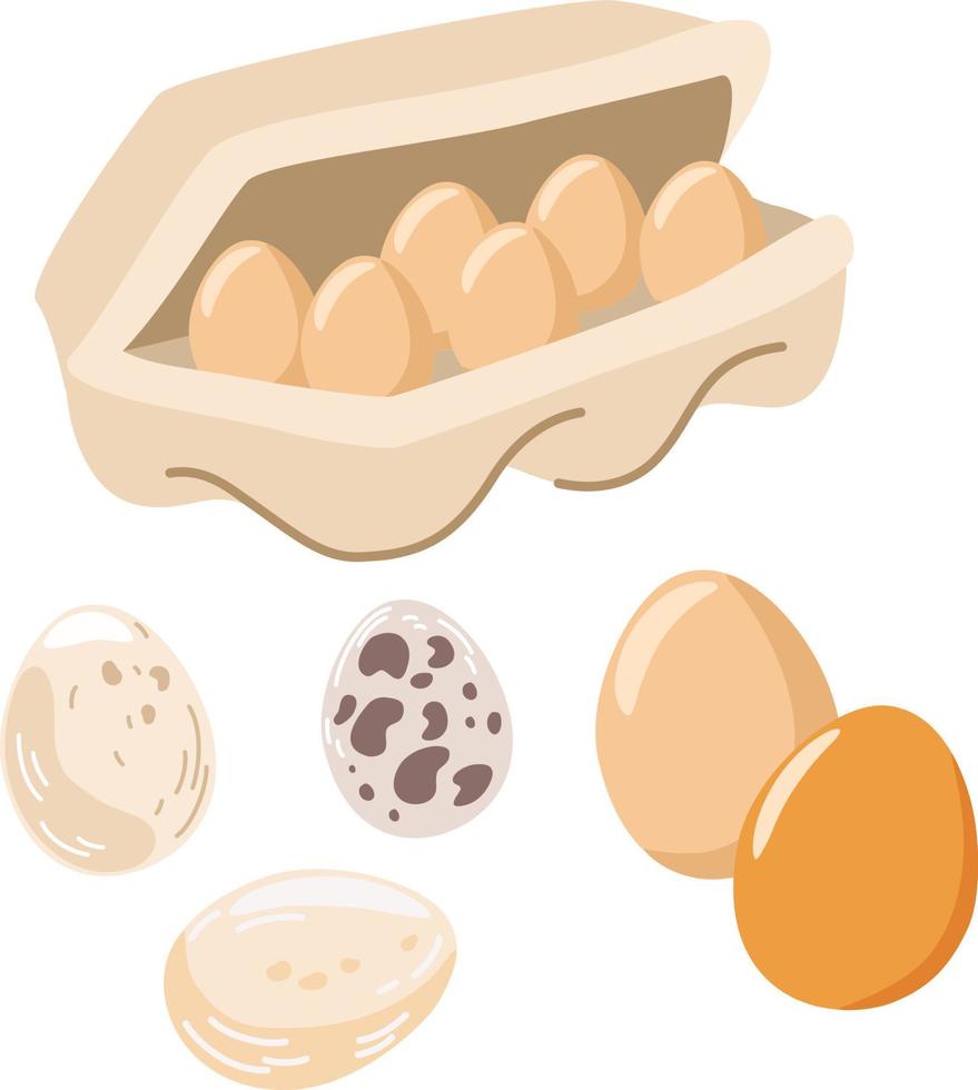 Chicken eggs. Fresh brown eggs in a paper box. Healthy Protein food. Poultry farming. For printing, brochures, shops, restaurants and farming. Vector cartoon illustration.