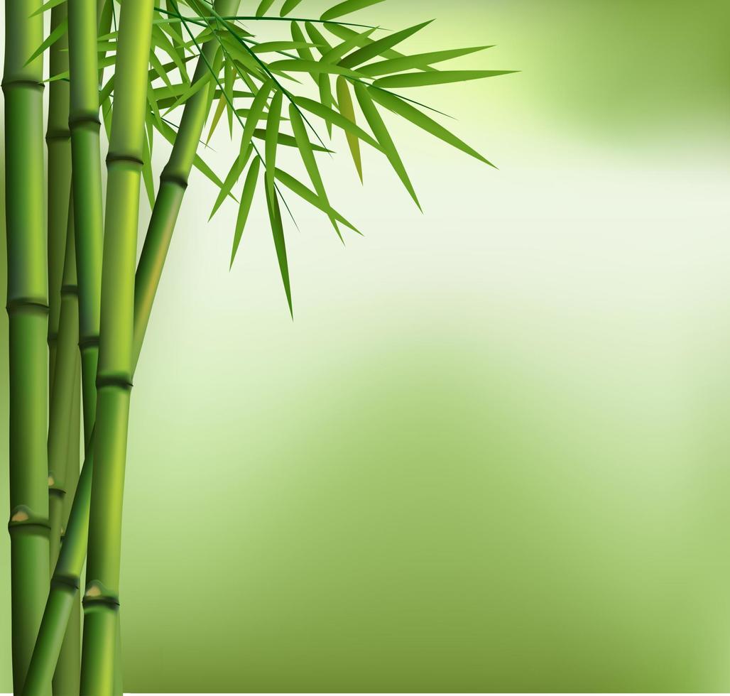 ilustración de la arboleda de bambú verde aislada con fondo verde vector