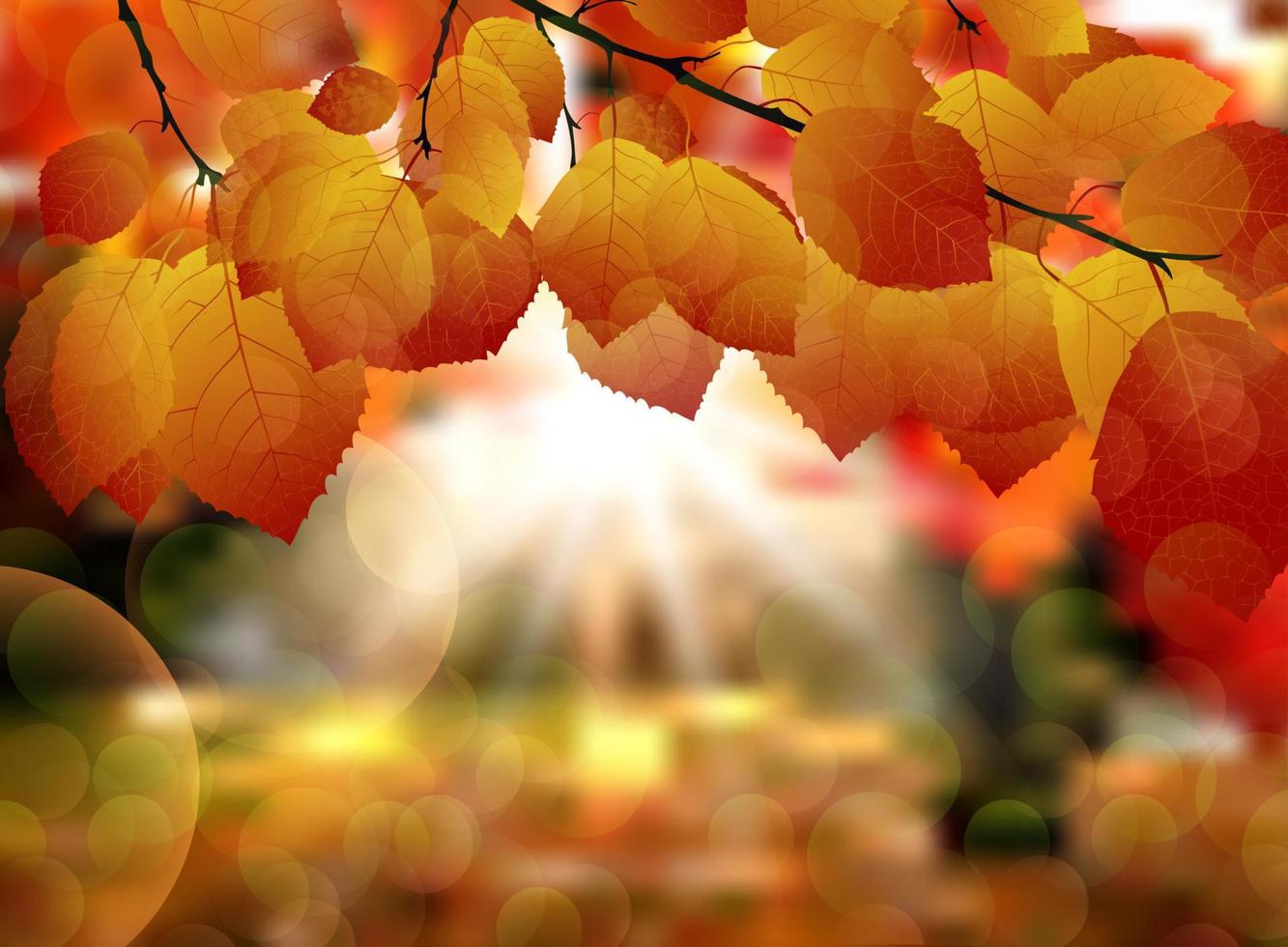 Autumn leaves background vector