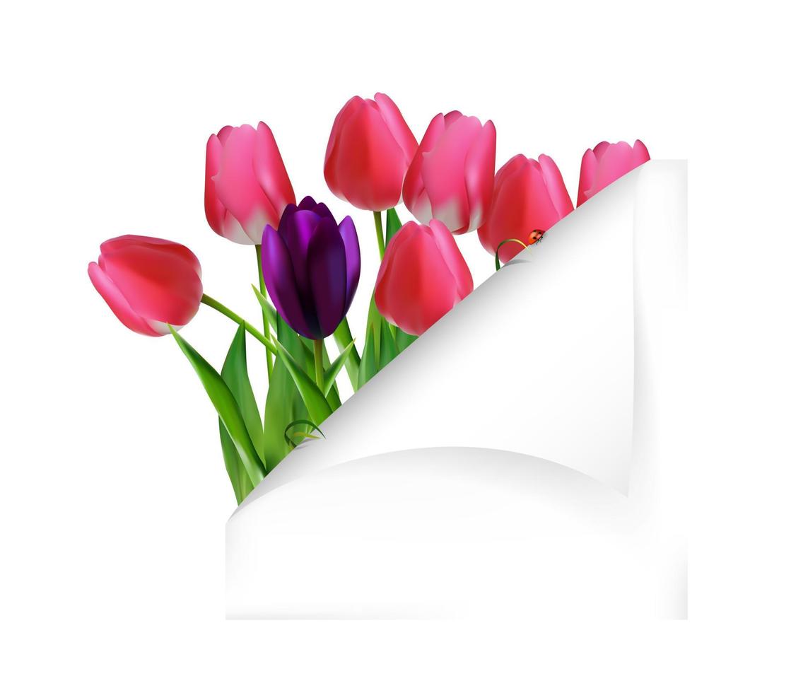 flores de tulipanes con papel doblado vector