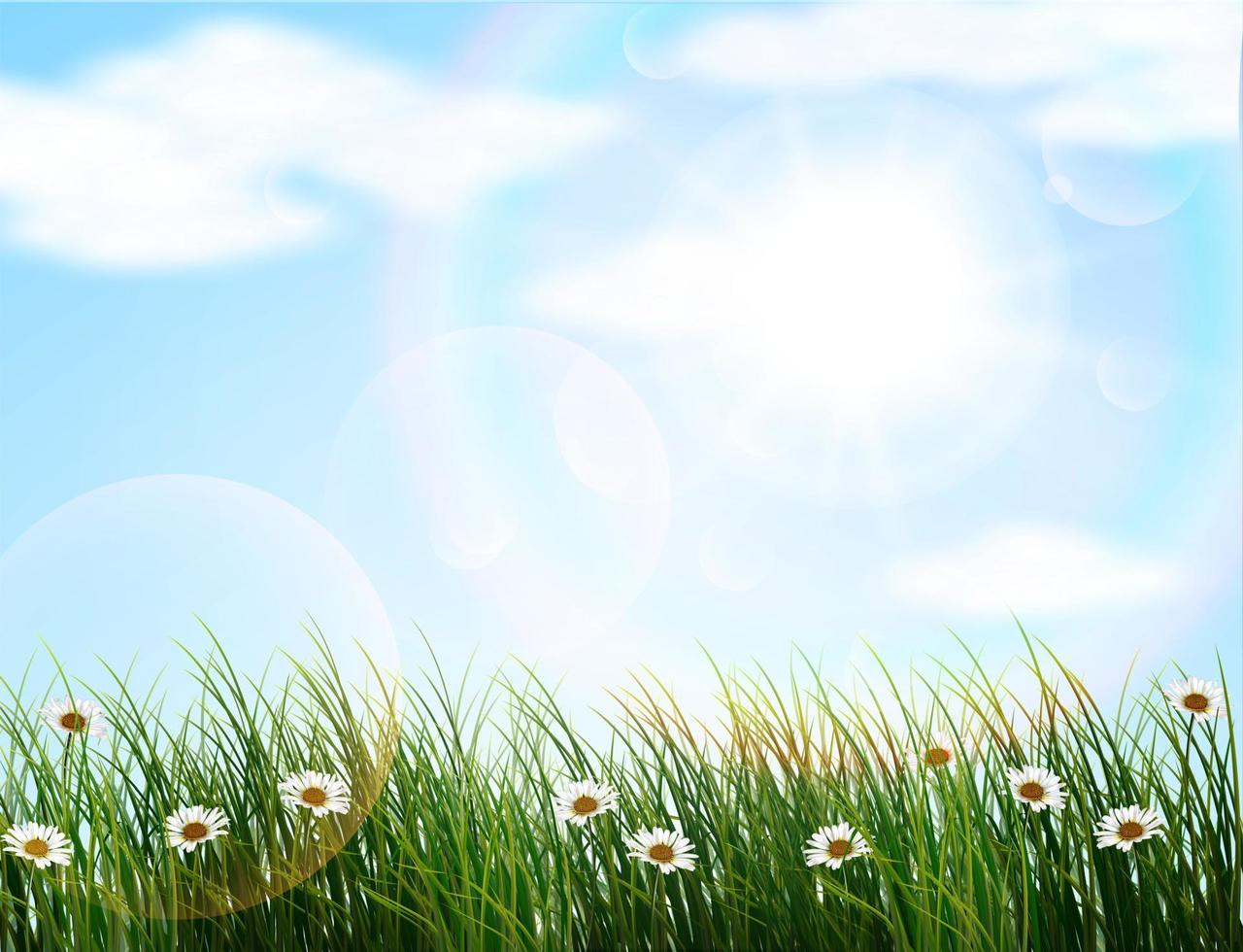 flowers everywhere and clouds of blue reply vector