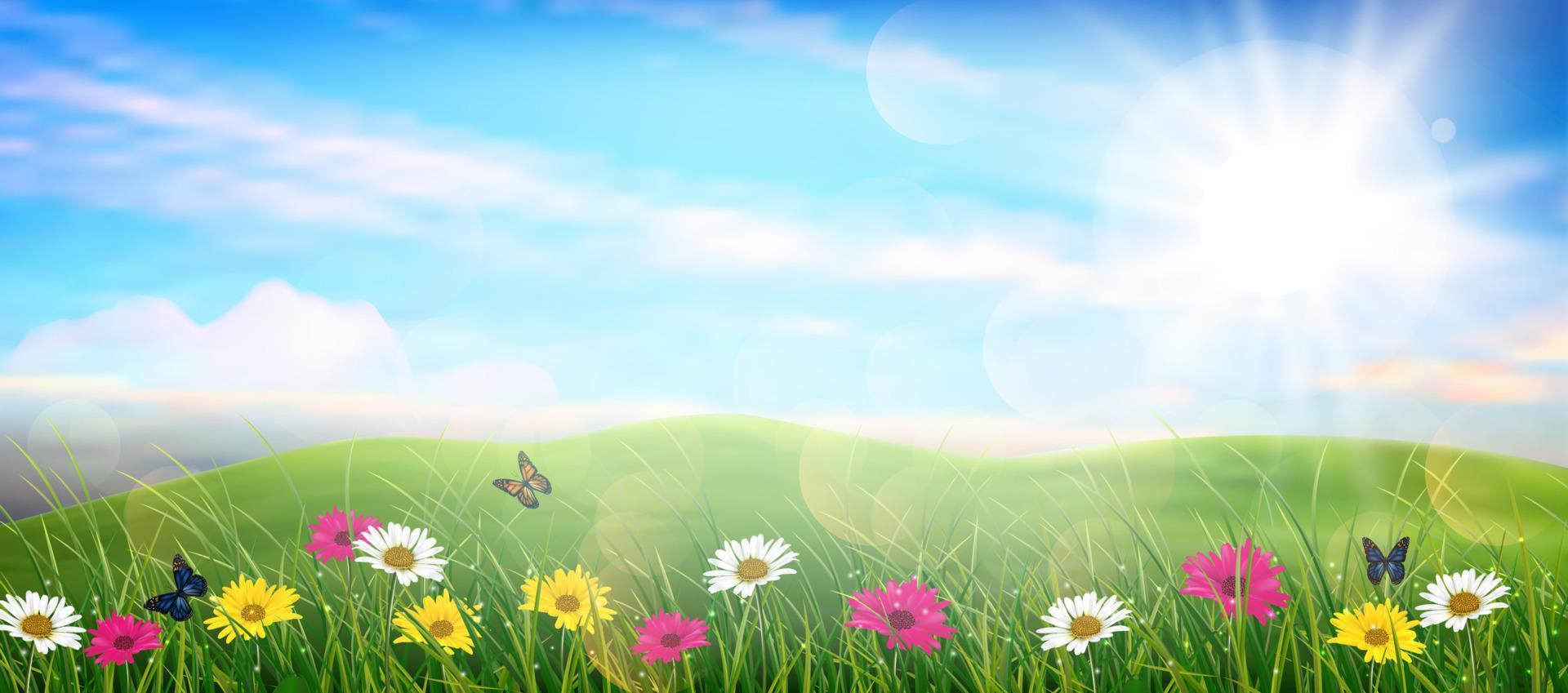 Beautiful spring meadow colorful flowers. vector illustration