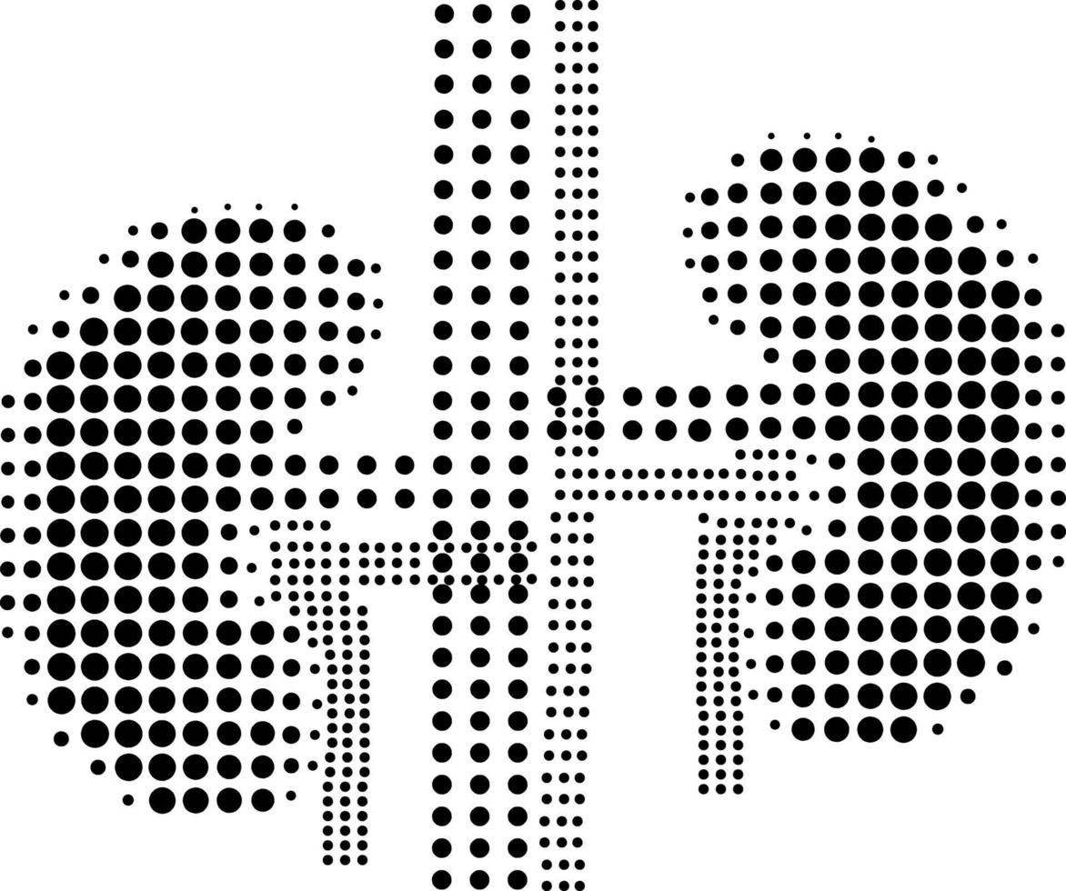 riñón humano de medios tonos en blanco y negro vector