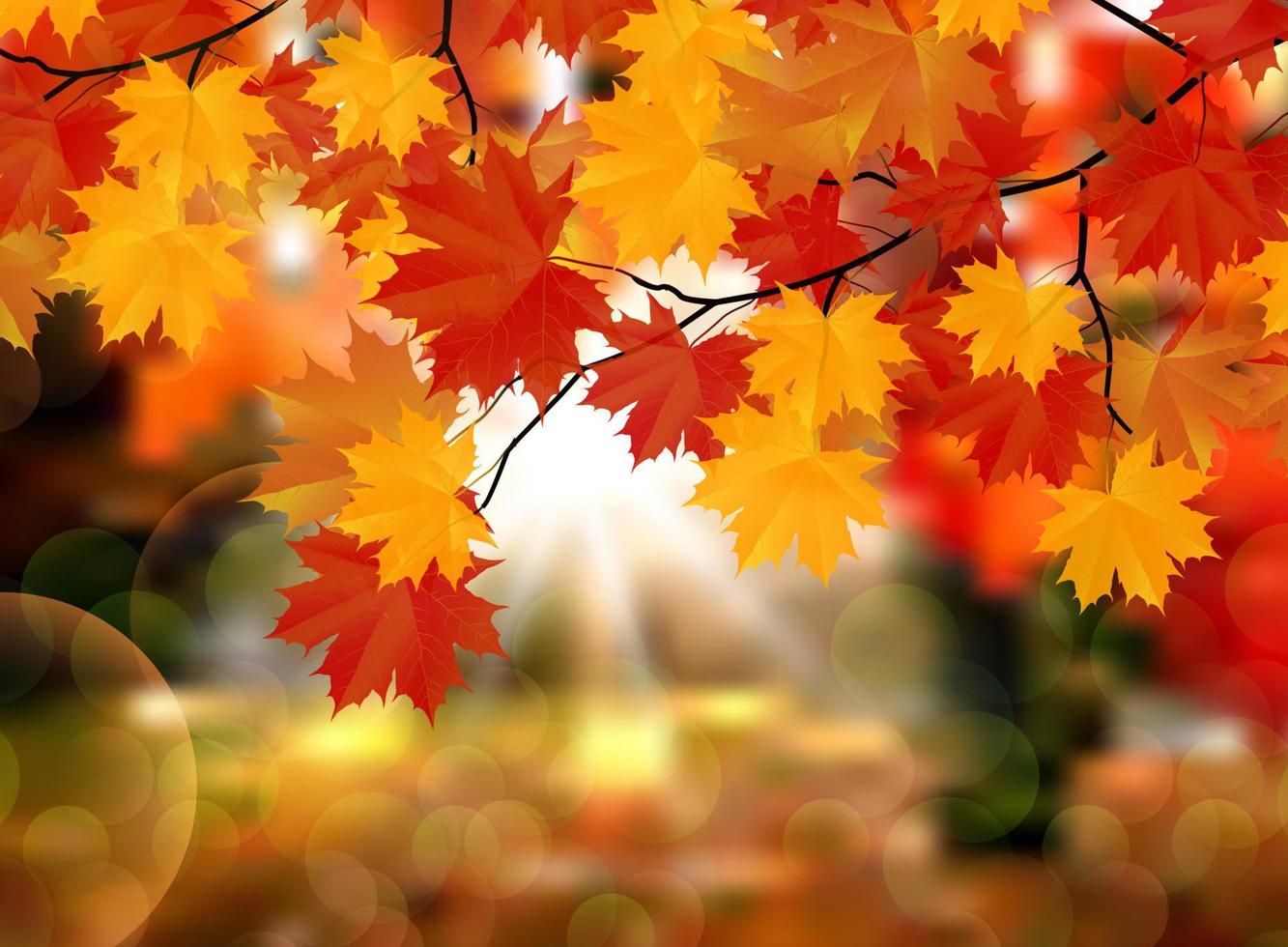 Autumn leaves background vector