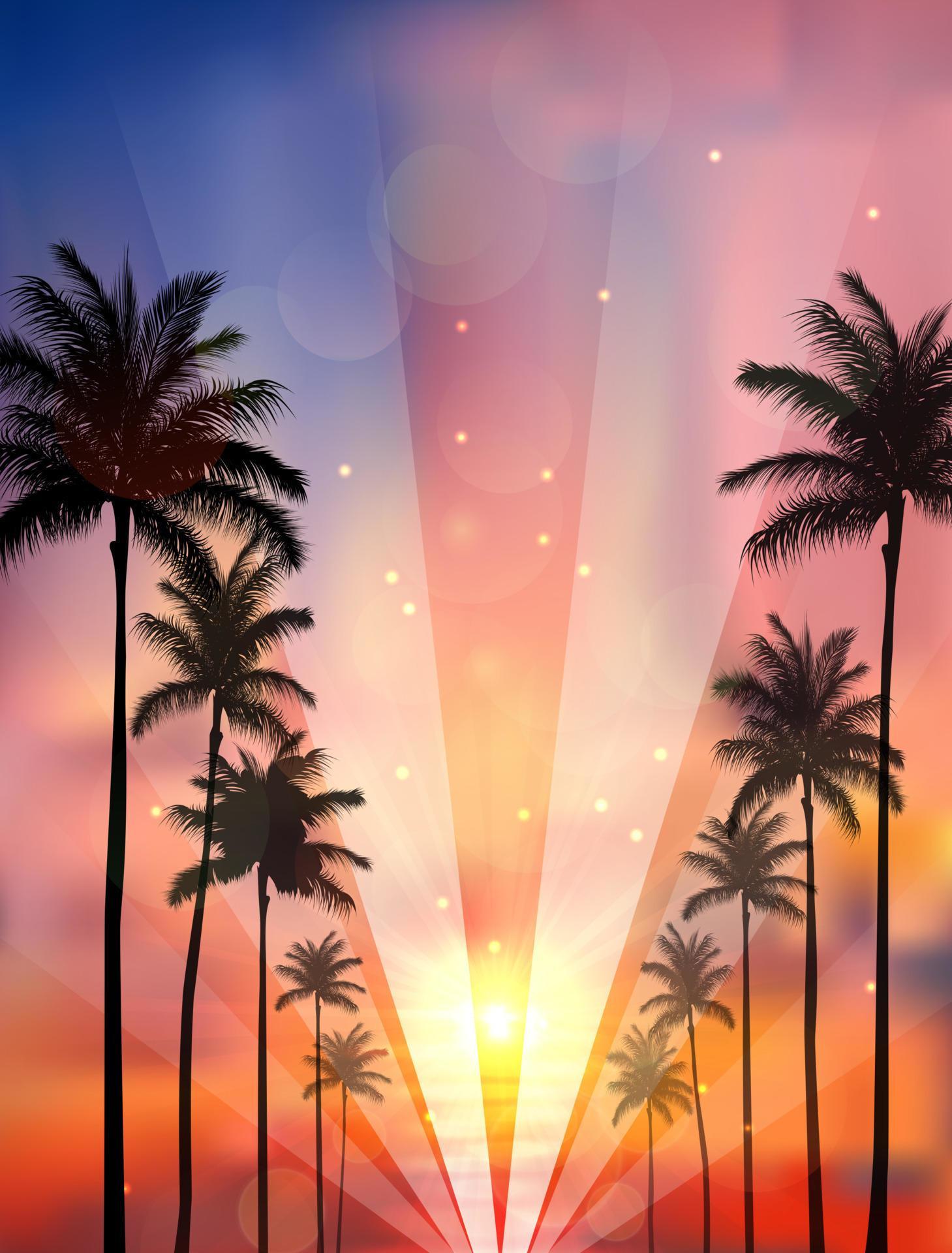 Palm trees at sunset 5489063 Vector Art at Vecteezy