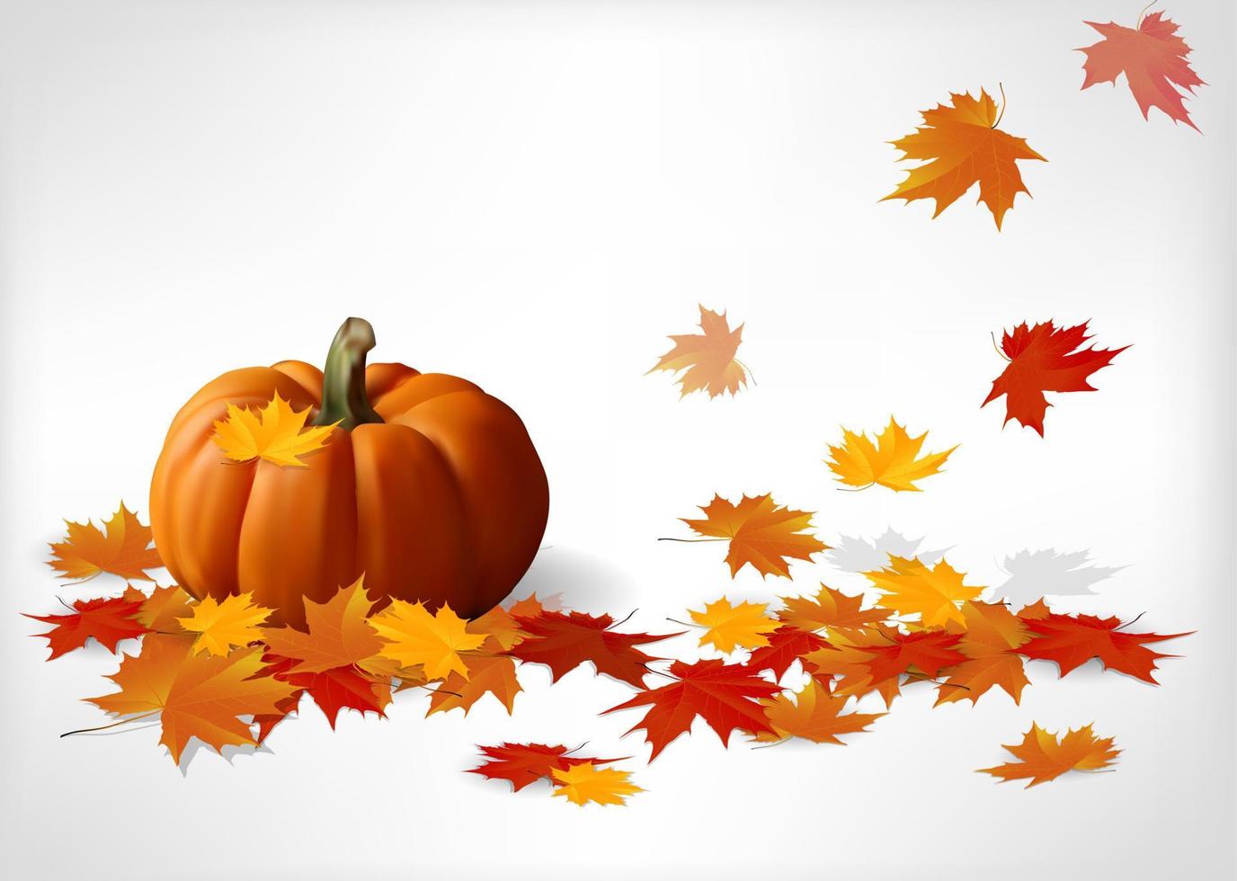 Autumn and pumpkins white background. Vector