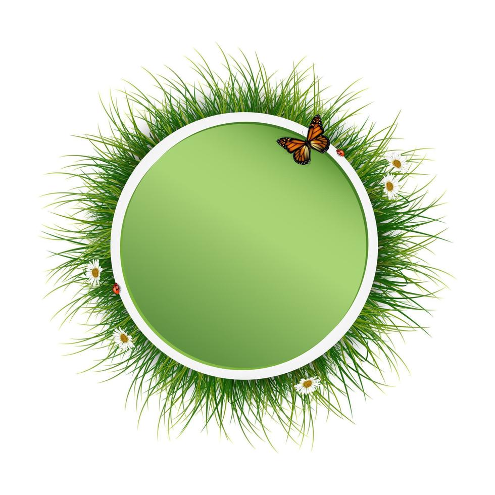 Circle frame with green grass and butterfly vector