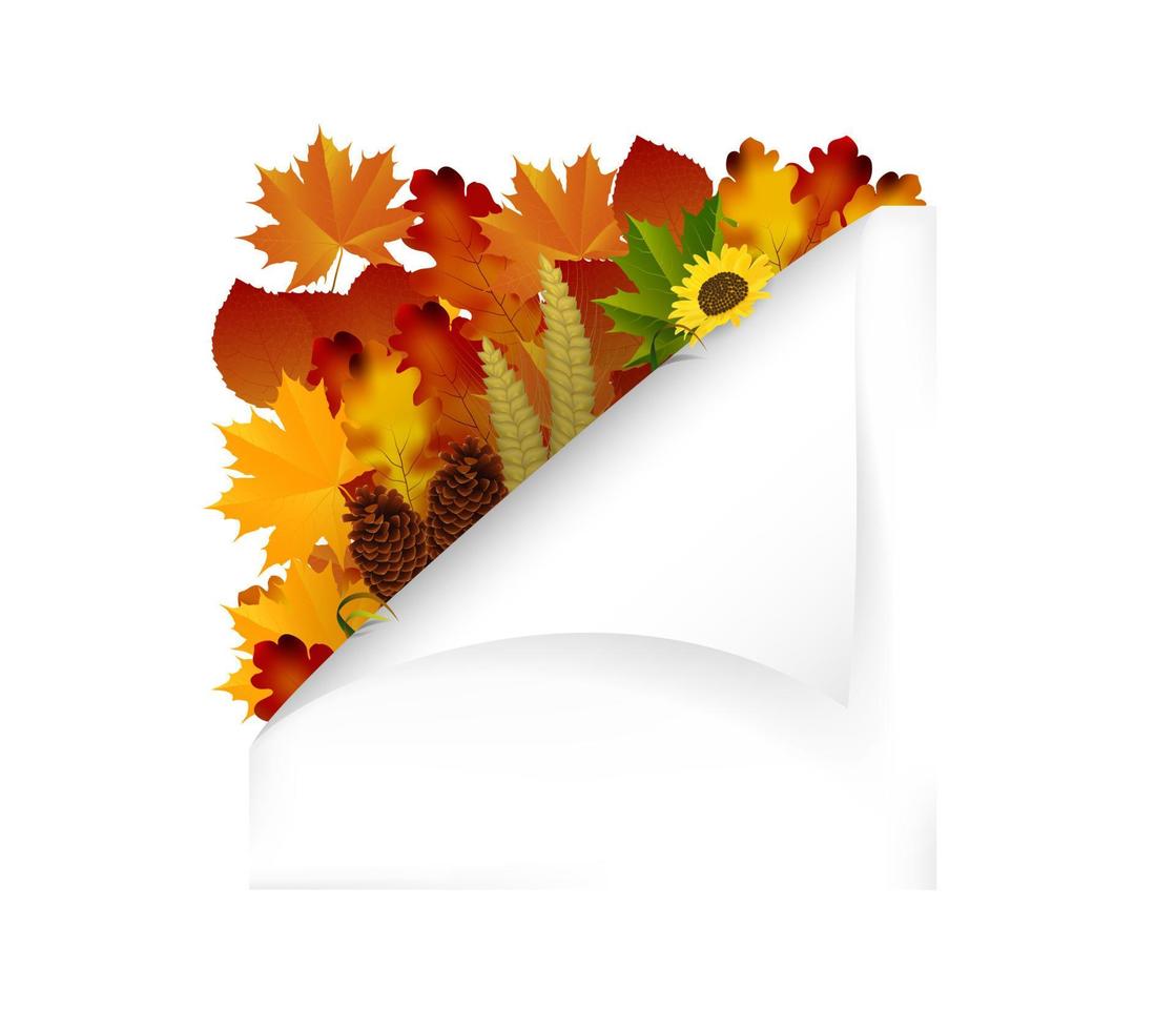 papel de otoño vintage con hojas de otoño. vector