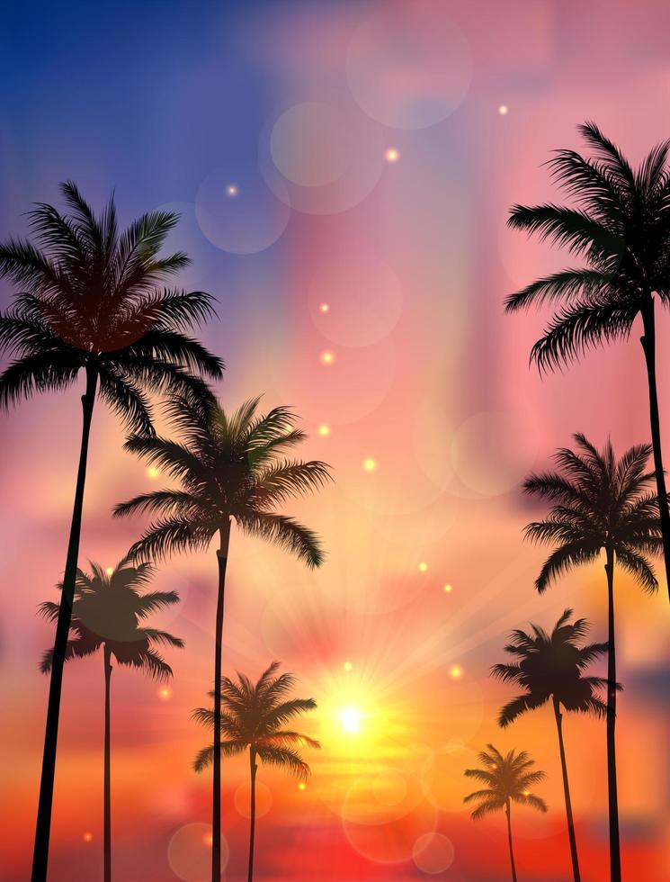 Silhouette of palm tree on sunset background vector