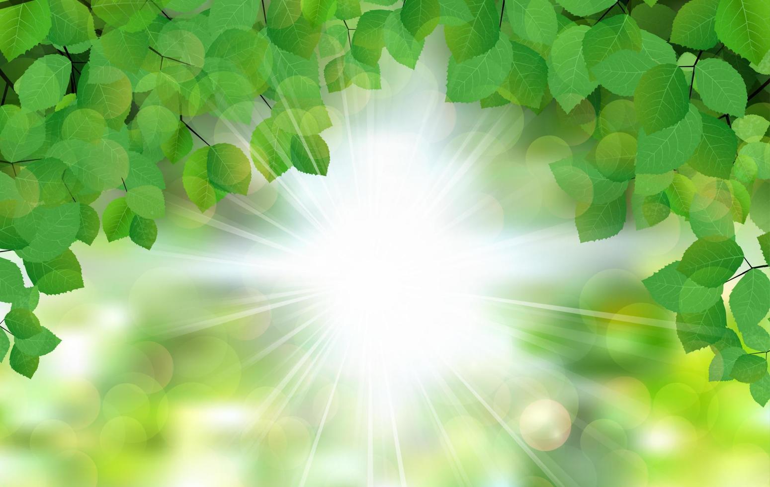 hojas verdes de hoja fresca de verano con rayos de sol. ilustración vectorial vector