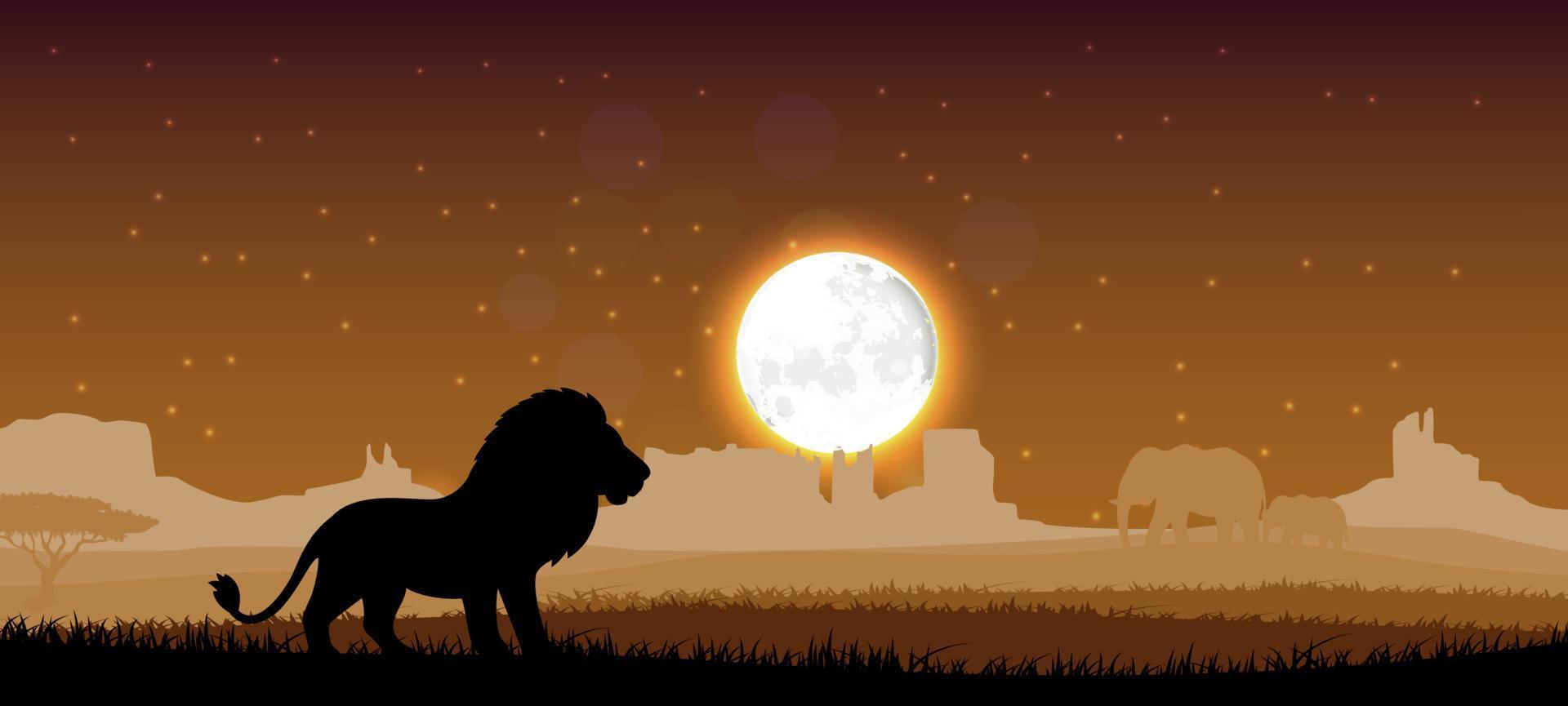 Lion in the evening. Vector