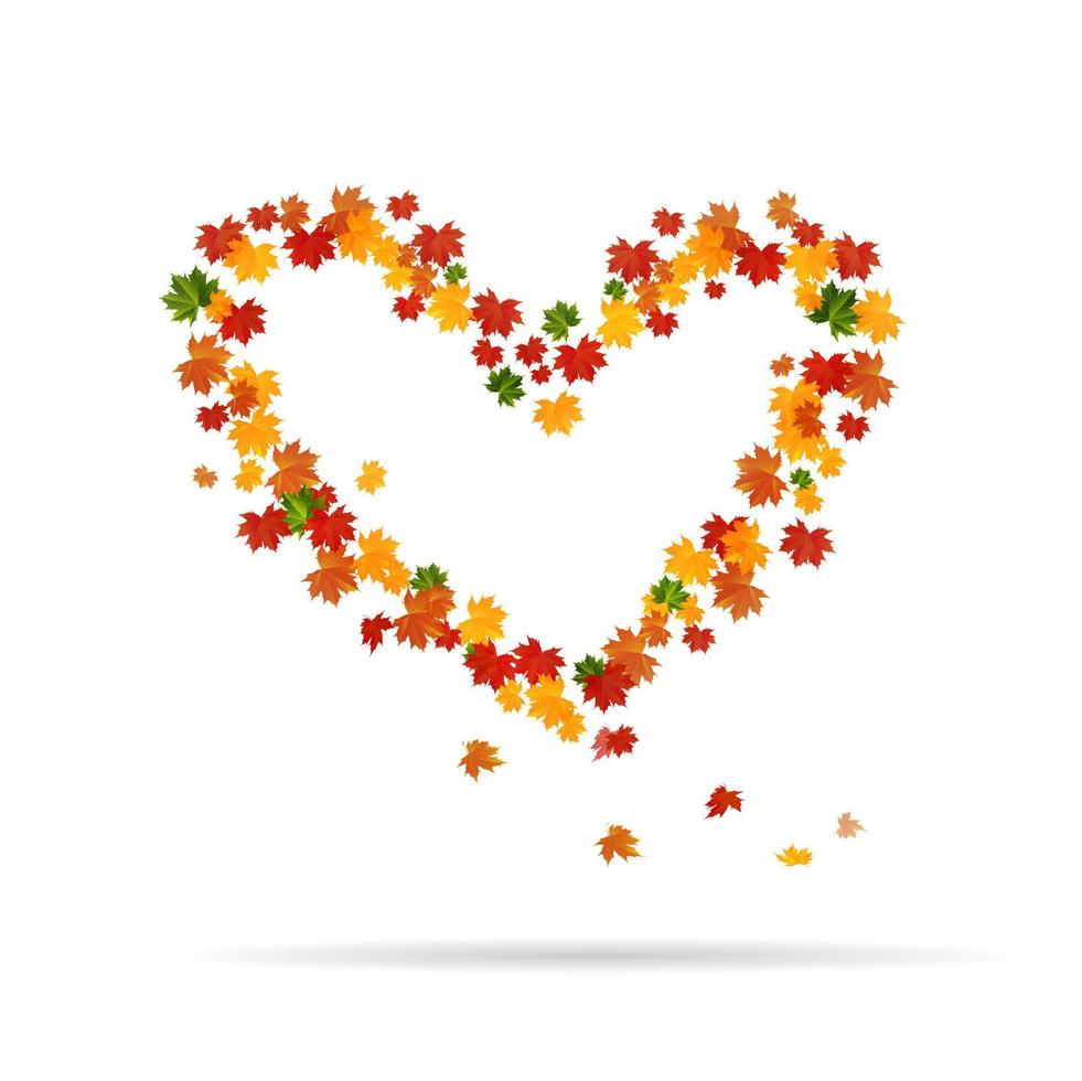 The heart of the autumn leaves. Vector