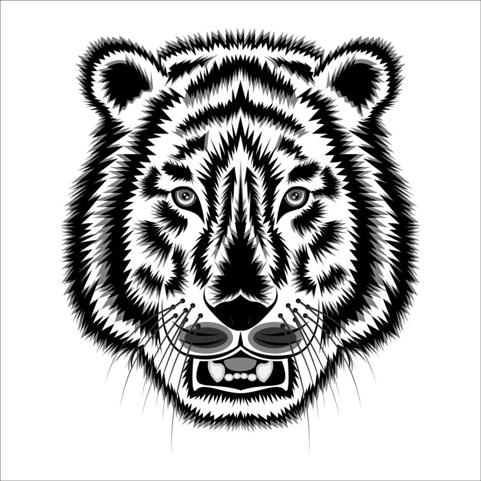 Tiger head sketch front view isolated white background vector