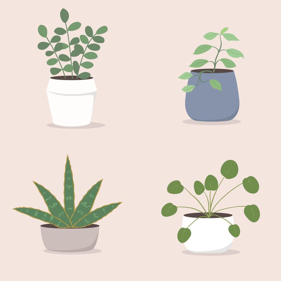 Tropical potted houseplant illustration set vector