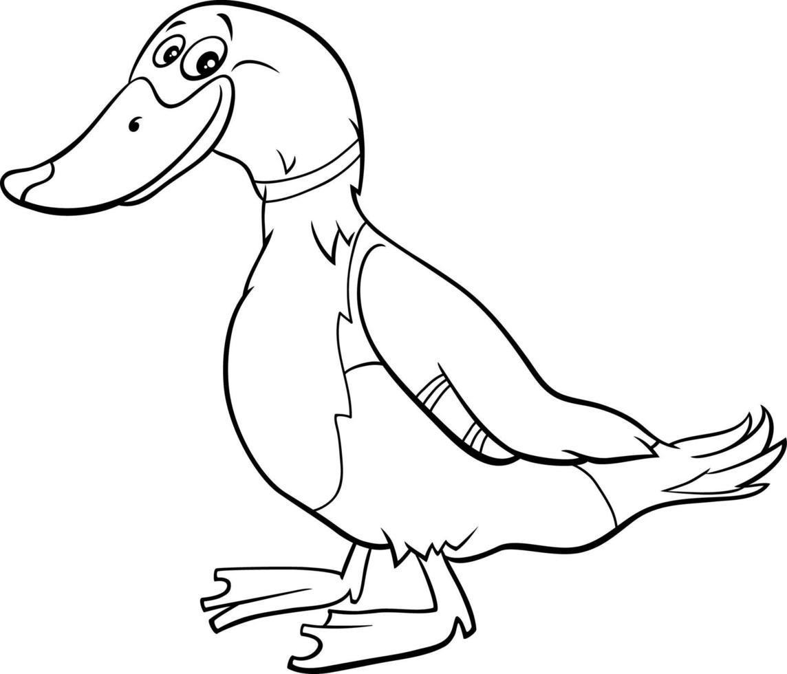 dibujos animados pato salvaje pájaro animal personaje libro para colorear  página 5489801 Vector en Vecteezy