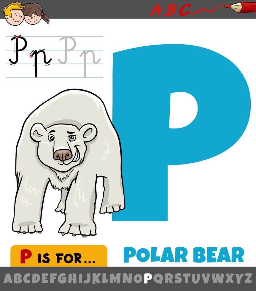 letra p del alfabeto con personaje de animal de oso polar de dibujos animados vector