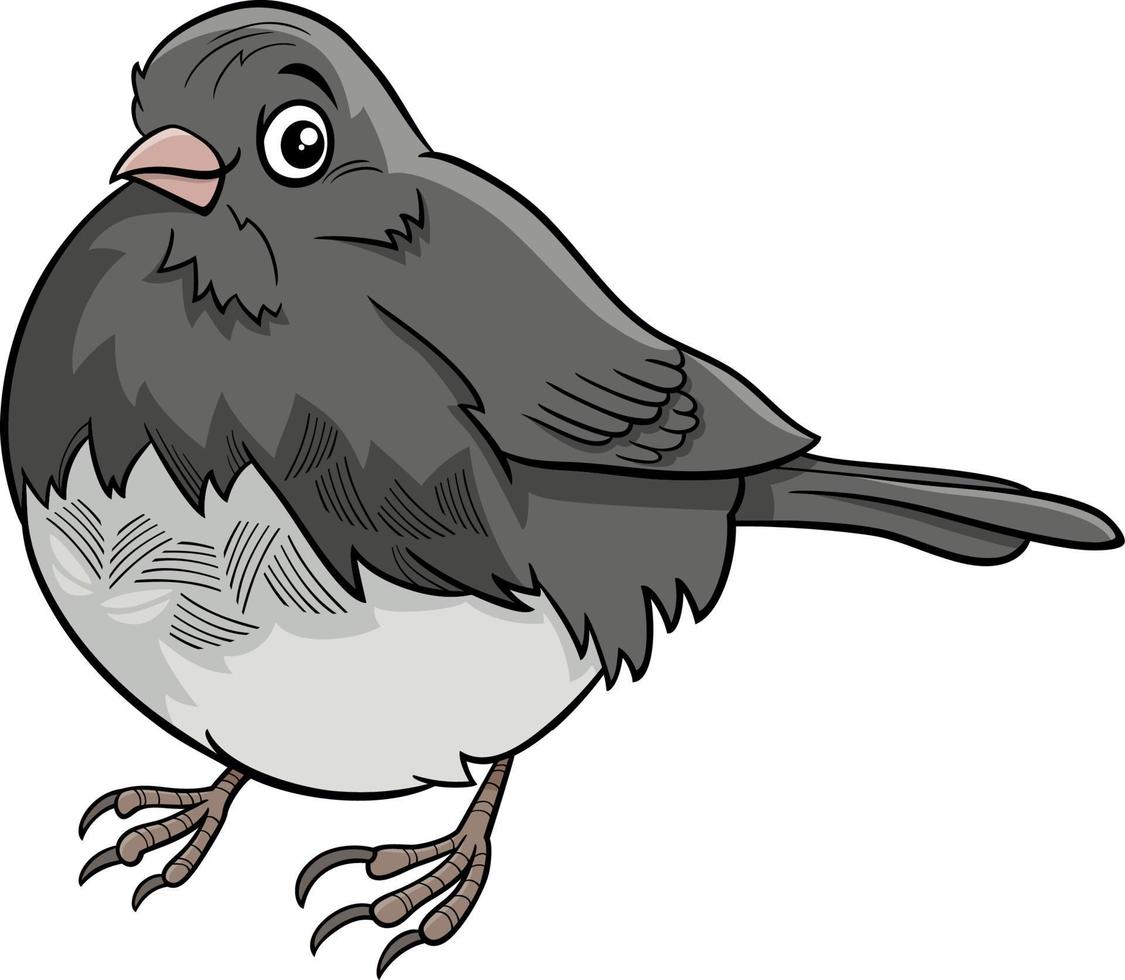 junco pájaro animal personaje dibujos animados ilustración vector