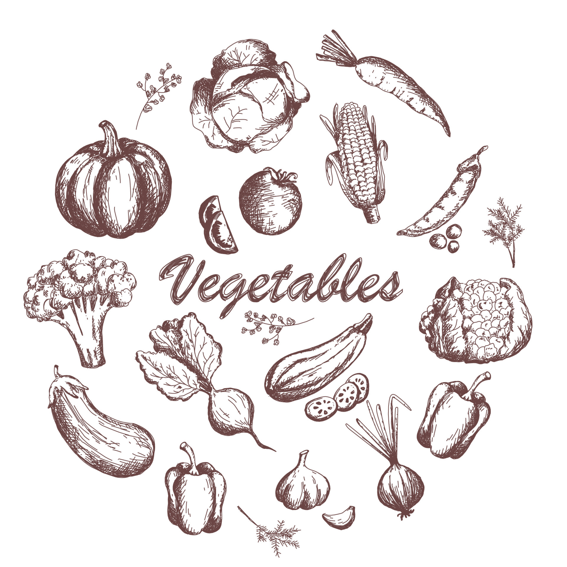 Sketch vegetables set. Vintage hand drawn garden vegetable collection