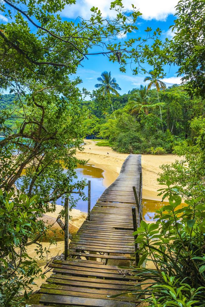 Mangrove and Pouso beach with bridge island Ilha Grande Brazil. photo