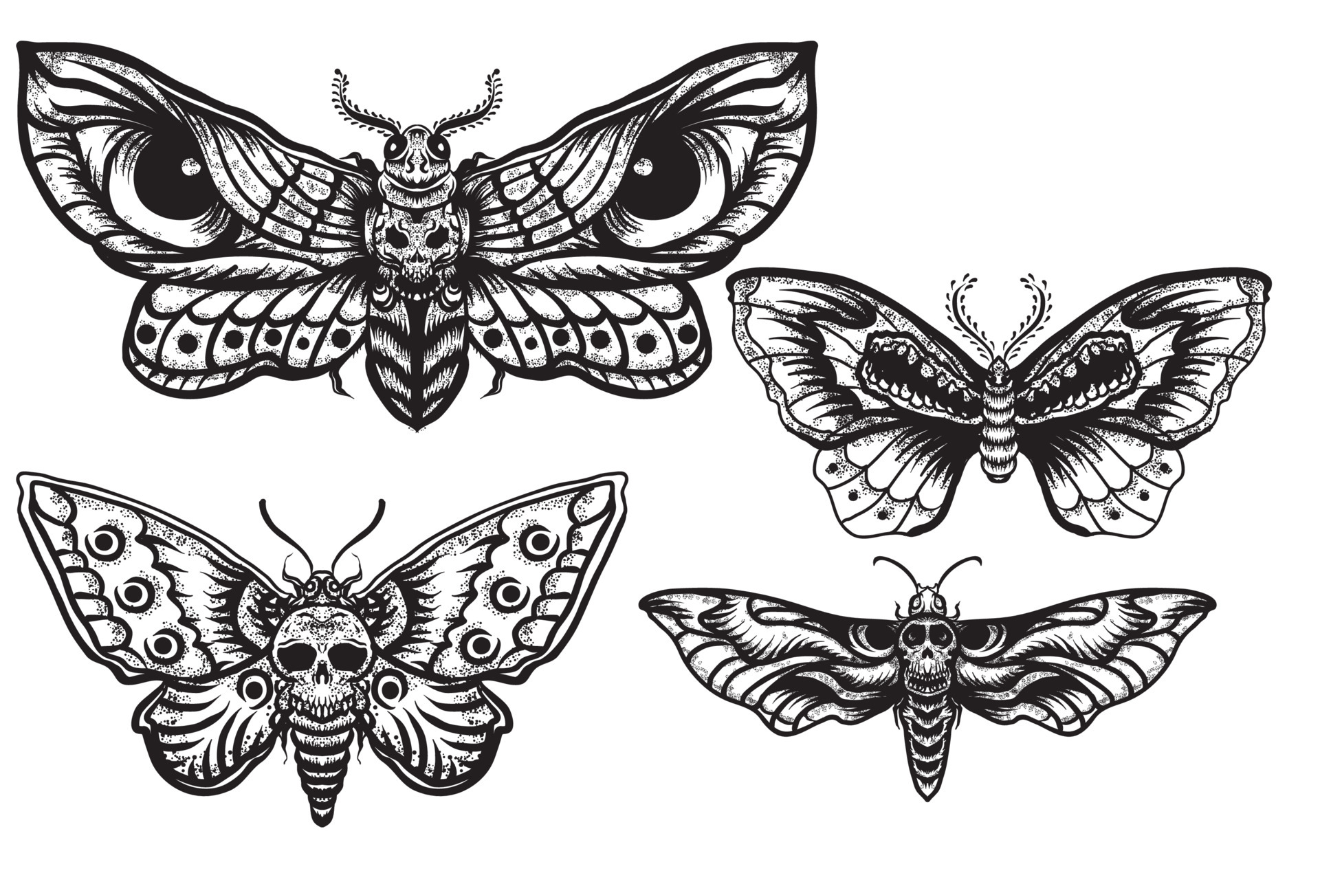 Traditional Death Moth Digital Art Design by AbbysArtPortfolio on DeviantArt