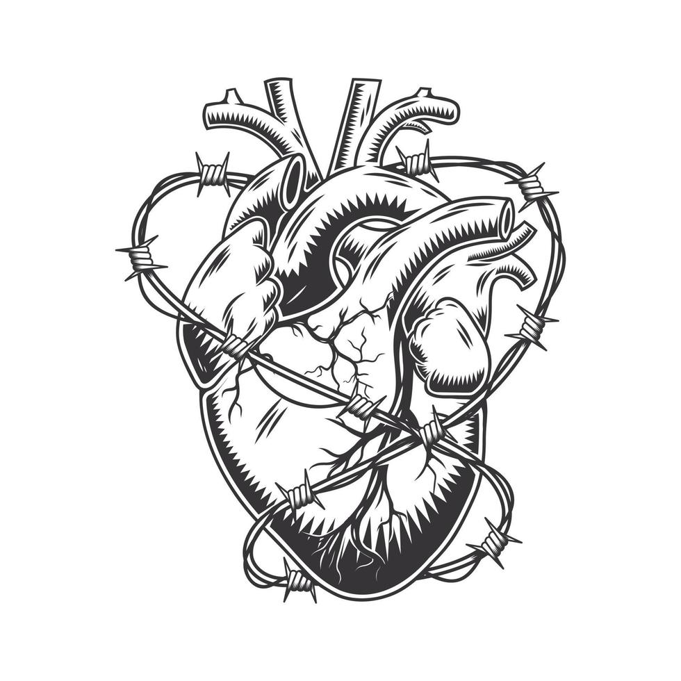corazón de alambre de púas arte de línea anatómicamente dibujado a mano. tatuaje flash vintage o ilustración vectorial de diseño de impresión. vector