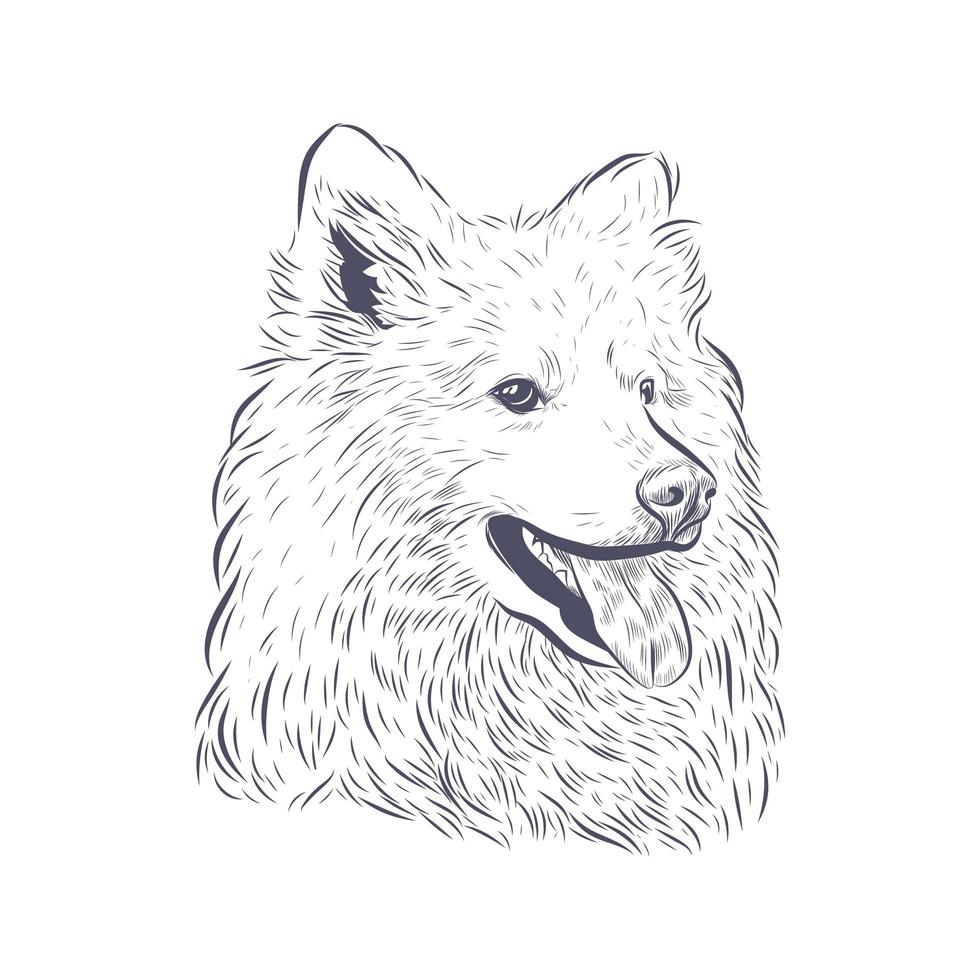 Samoyed dog vector isolated.