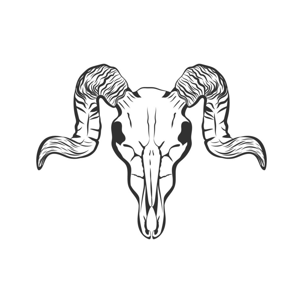 Ram skull hand drawn vector sketch.