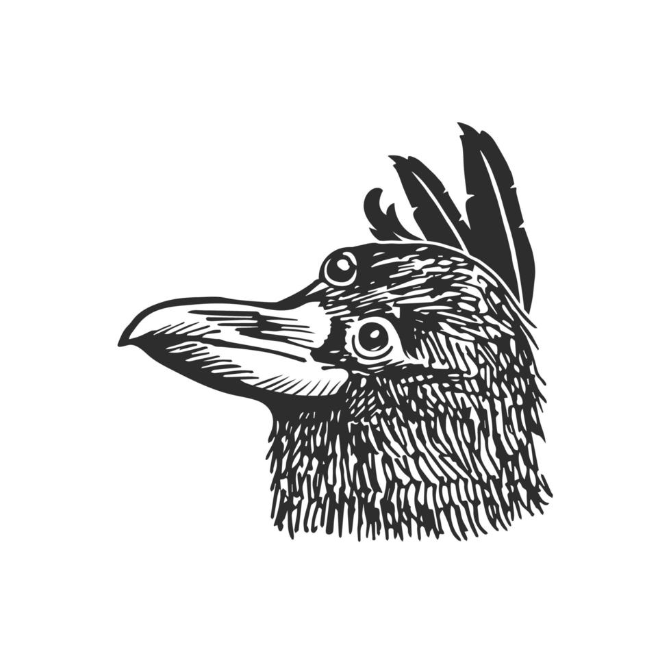 Three eyed raven head decorated with feathers. vector