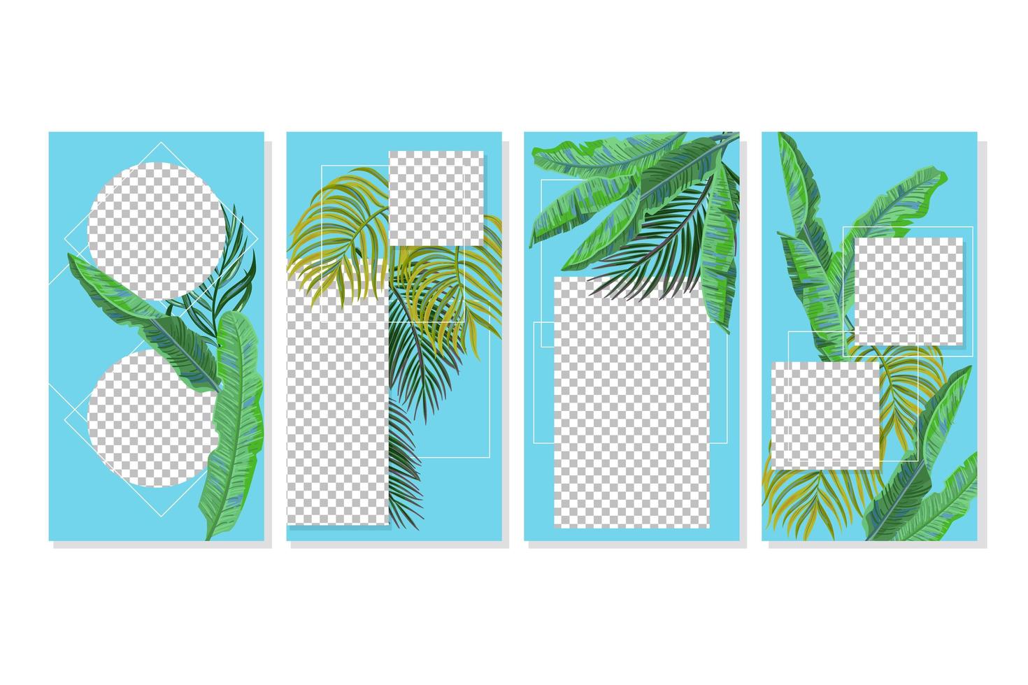 Social media stories vector templates with green exotic leaves.