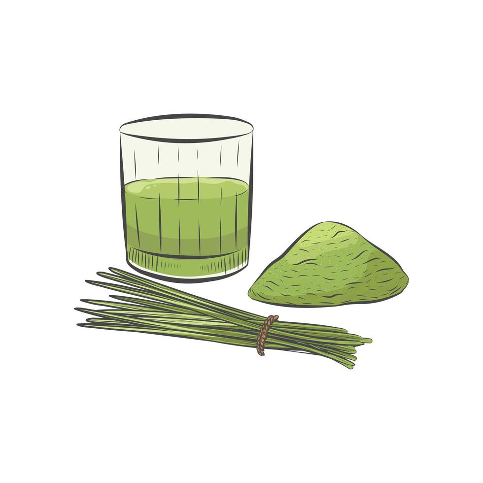 Wheat grass powder and juice isolated on white background. vector