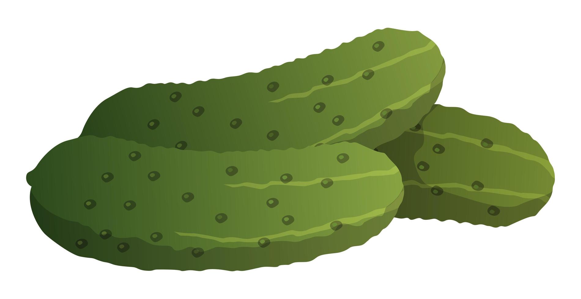 Realistic ripe fresh cucumber on white background - Vector