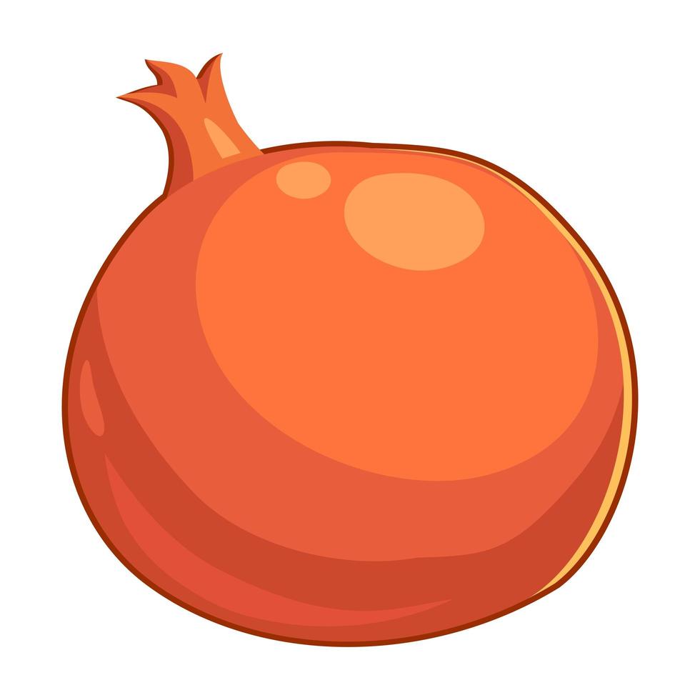 Realistic fresh ripe pomegranate isolated on white background - Vector
