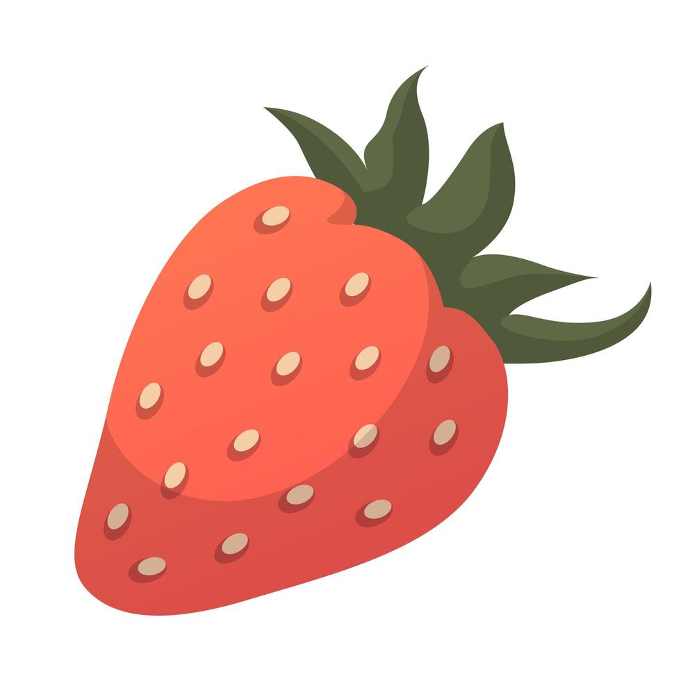 Realistic fresh strawberries against white background - Vector