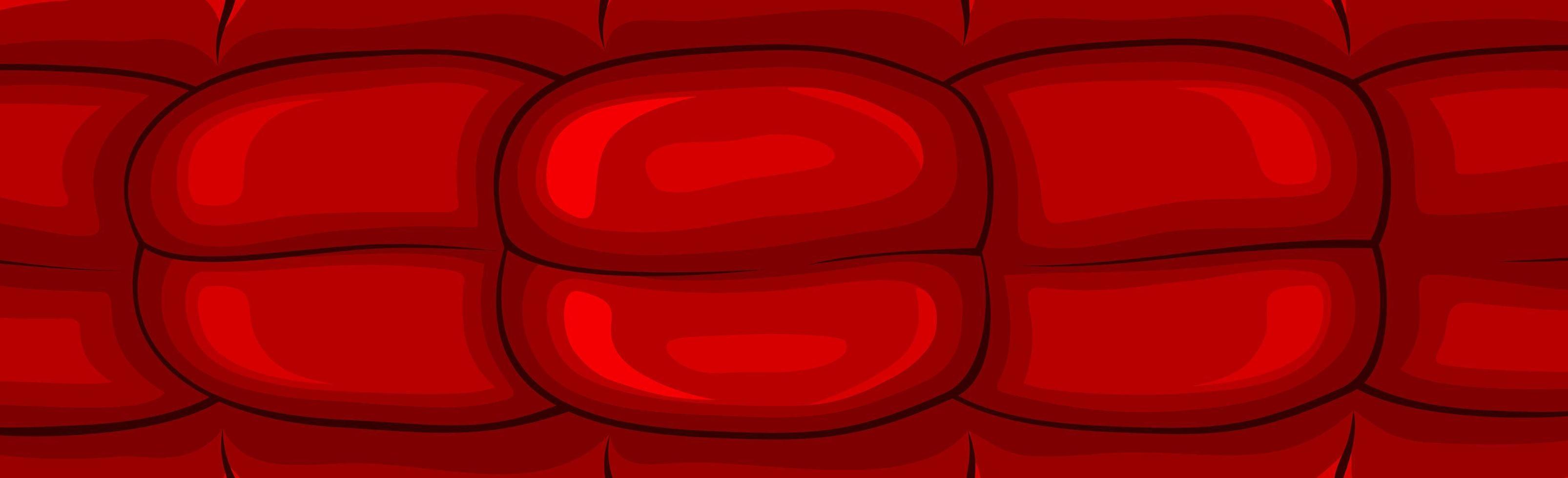 Panoramic red fresh salami sausage pattern - Vector