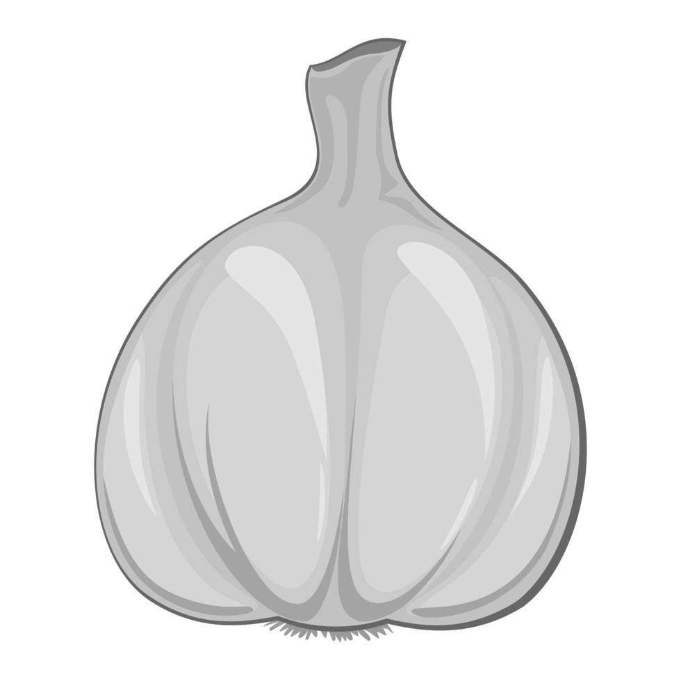 Realistic fresh garlic isolated on white background - Vector