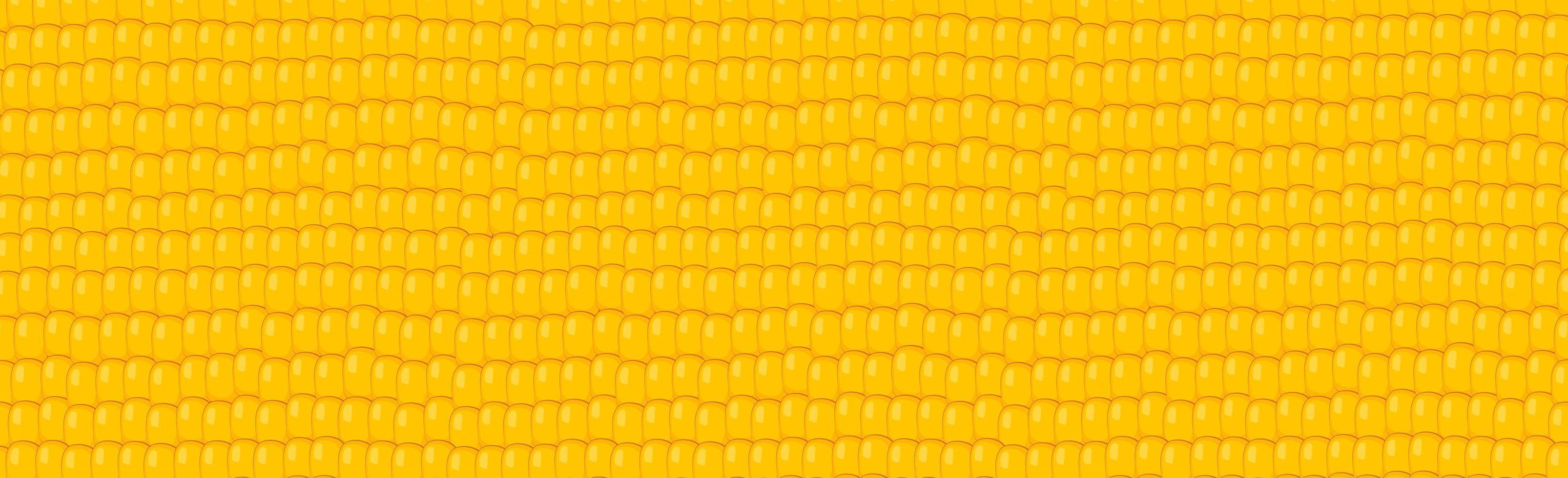 Panoramic yellow - orange corn grain background - Vector