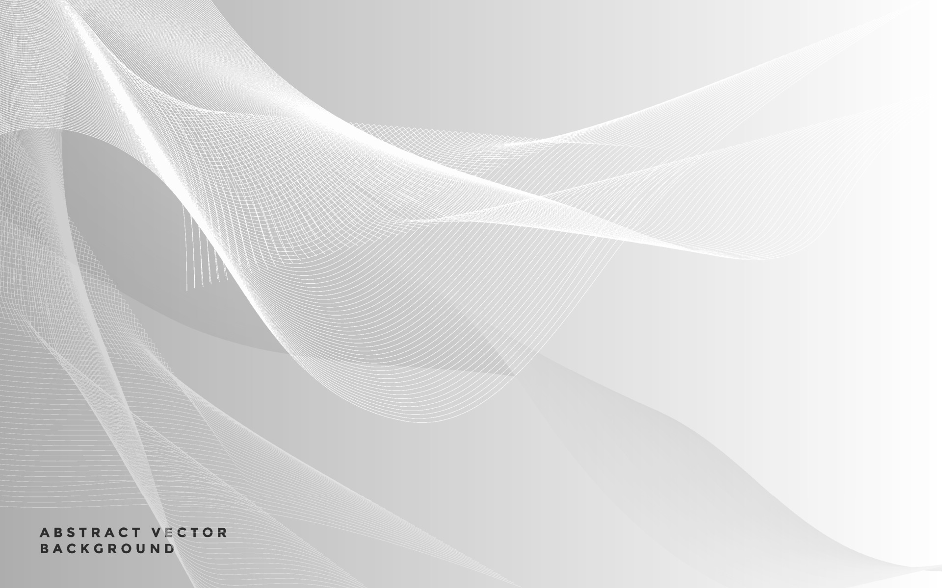 Grey abstract background with wave and lines. white gradient background