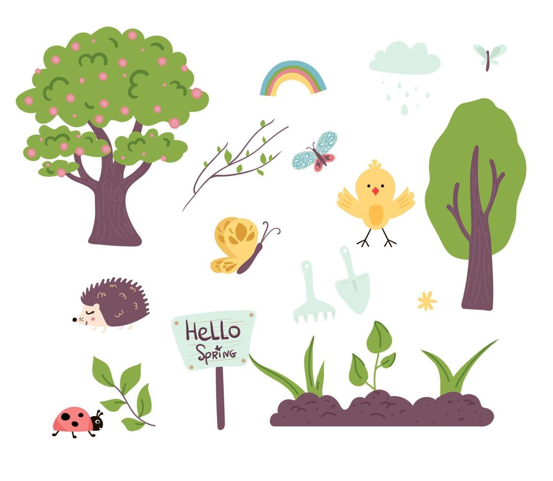 Cactus home nature vector illustration of green plant cactaceous tree with flower