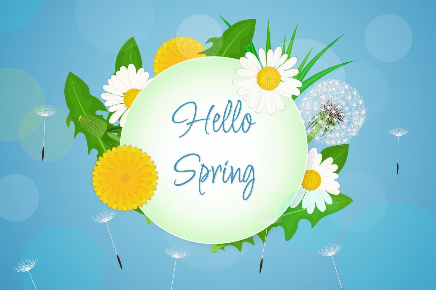 Hello spring blue background with chamomile and dandelion vector