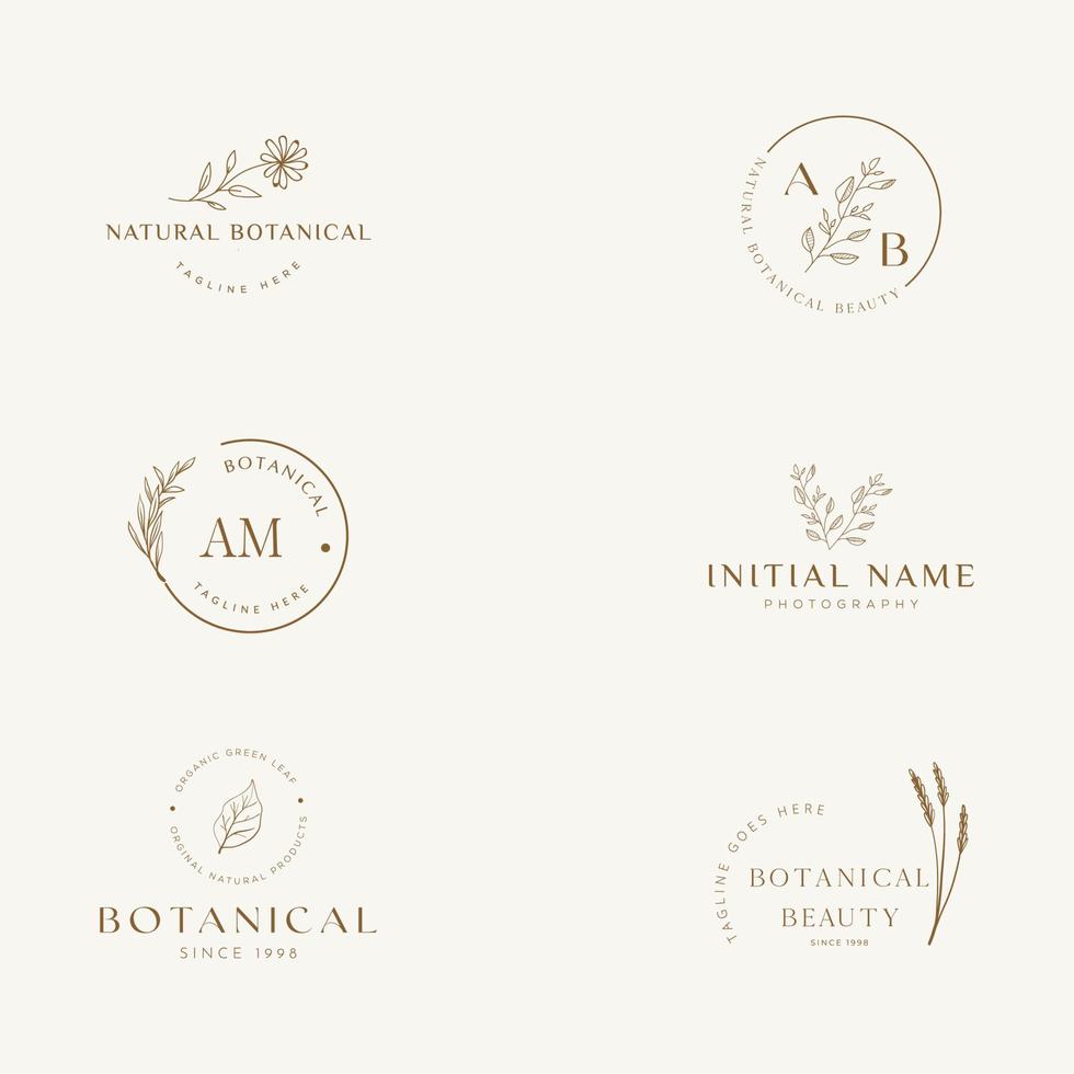 Botanical Floral element Hand Drawn Logo with Wild Flower and Leaves. Logo for spa and beauty salon, boutique, organic shop, wedding, floral designer, interior, photography, cosmetic. vector