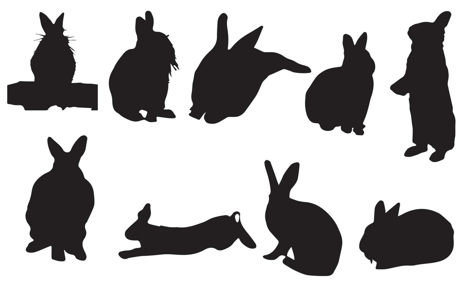 rabbit vector illustration design black and white collection