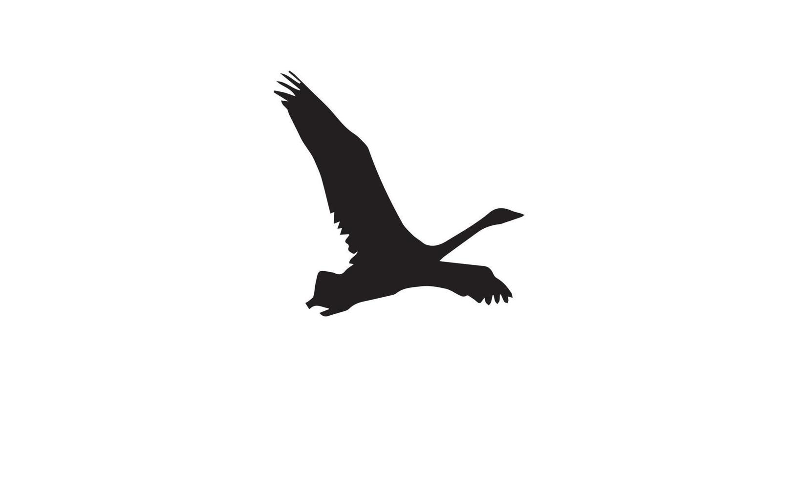 swan vector illustration design black and white